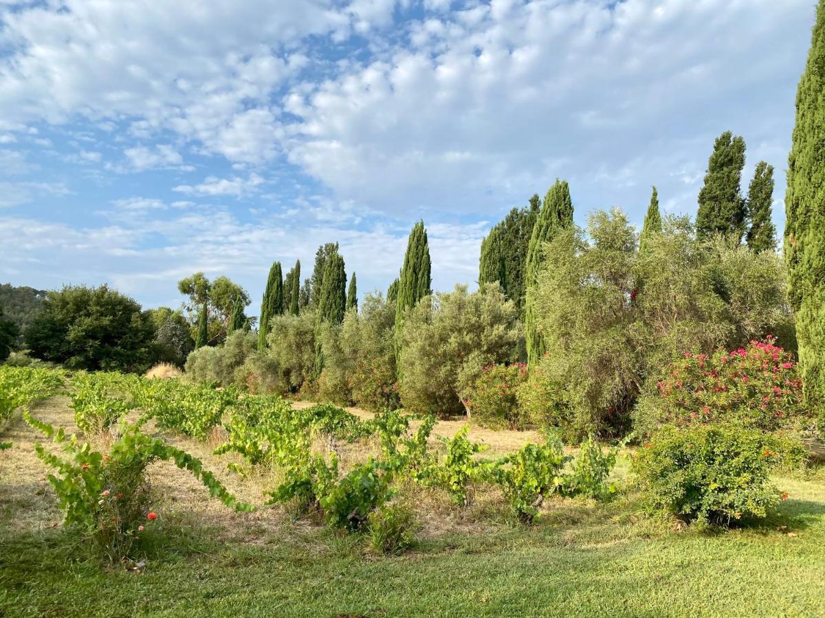 Bed and Breakfast Bastide De Gueissard Saint-Cyr-sur-Mer Exterior foto