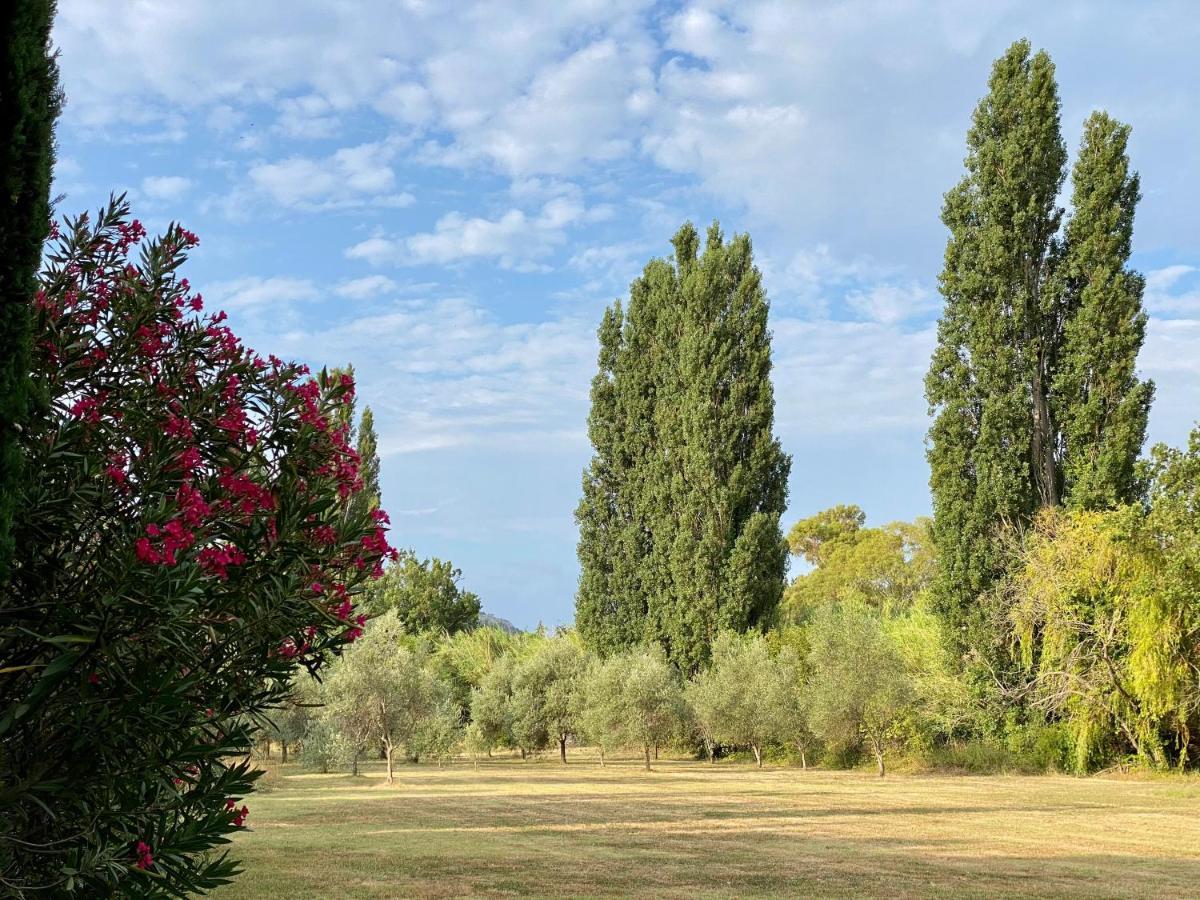 Bed and Breakfast Bastide De Gueissard Saint-Cyr-sur-Mer Exterior foto